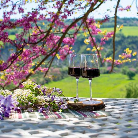 I Sicomori - Seme Di Carota - Glamping E Appartamenti Con Piscina A Saturnia Eksteriør billede