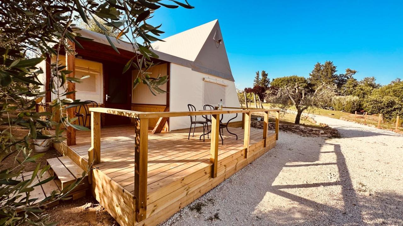 I Sicomori - Seme Di Carota - Glamping E Appartamenti Con Piscina A Saturnia Eksteriør billede