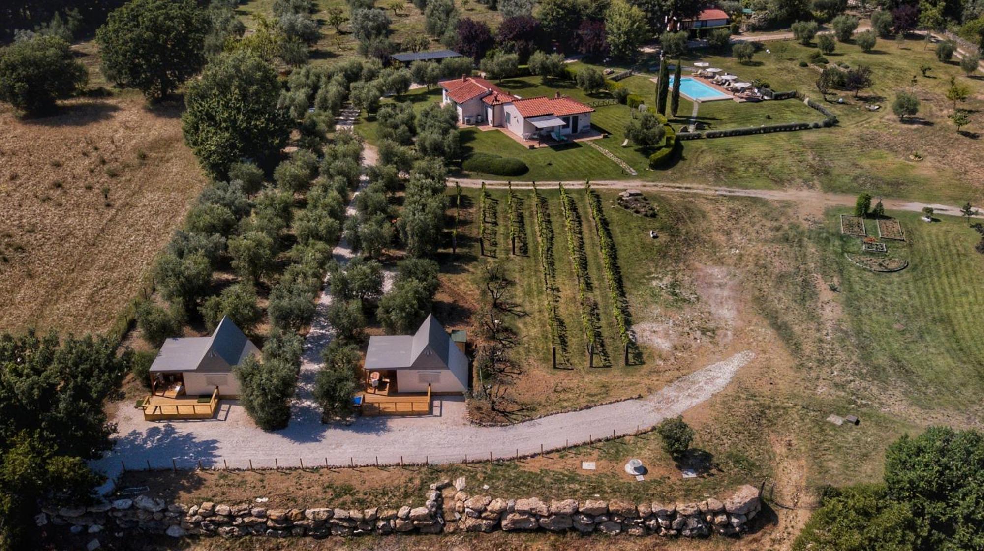 I Sicomori - Seme Di Carota - Glamping E Appartamenti Con Piscina A Saturnia Eksteriør billede