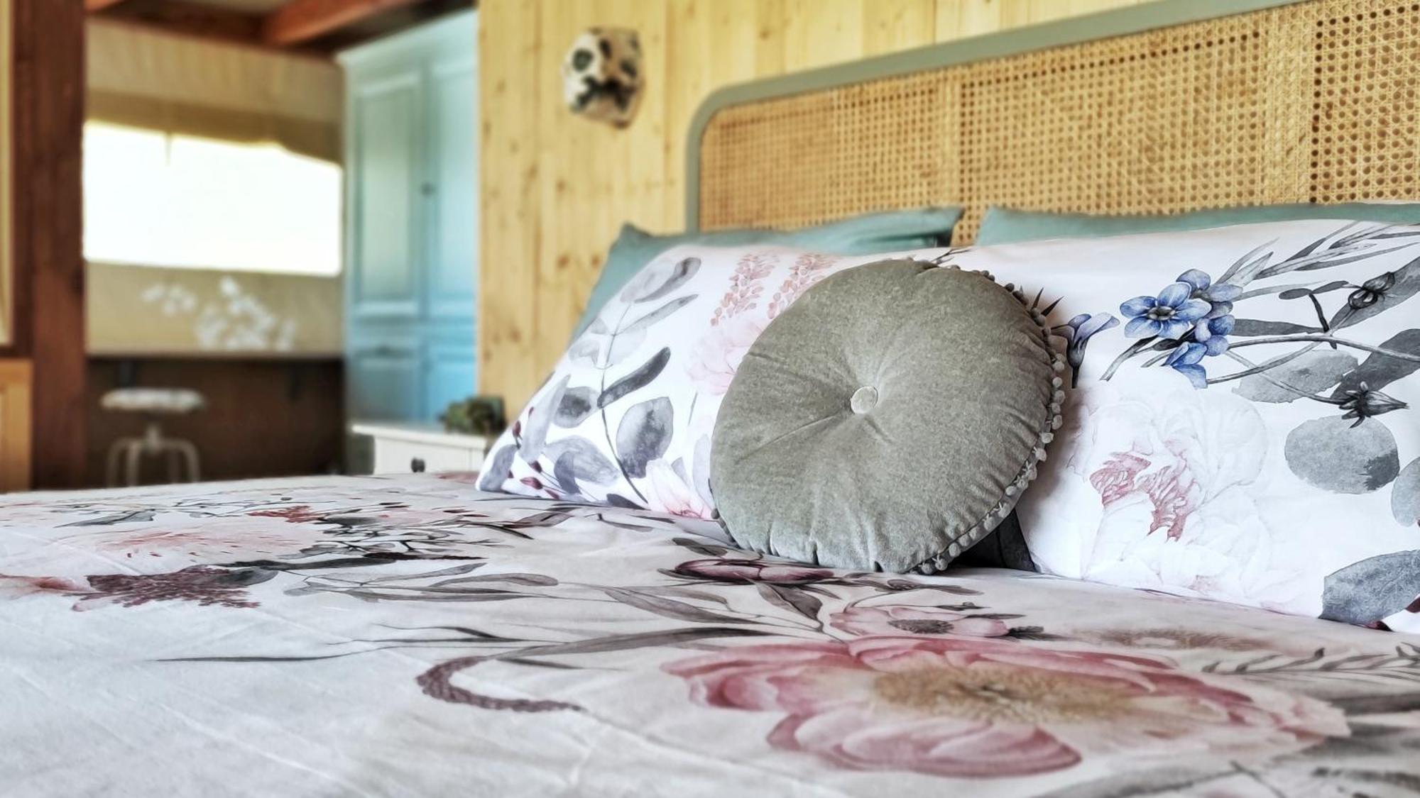 I Sicomori - Seme Di Carota - Glamping E Appartamenti Con Piscina A Saturnia Eksteriør billede