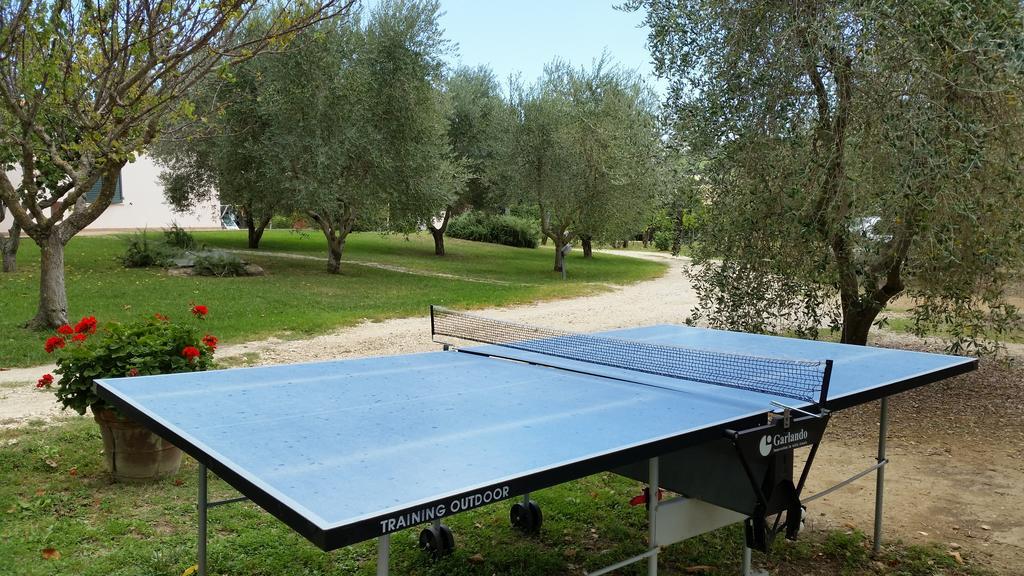I Sicomori - Seme Di Carota - Glamping E Appartamenti Con Piscina A Saturnia Eksteriør billede