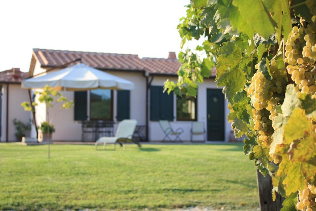I Sicomori - Seme Di Carota - Glamping E Appartamenti Con Piscina A Saturnia Eksteriør billede